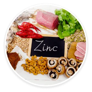 Zinc for hair follicle growth